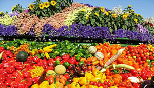 Israel's agriculture