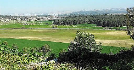 Shefla basin